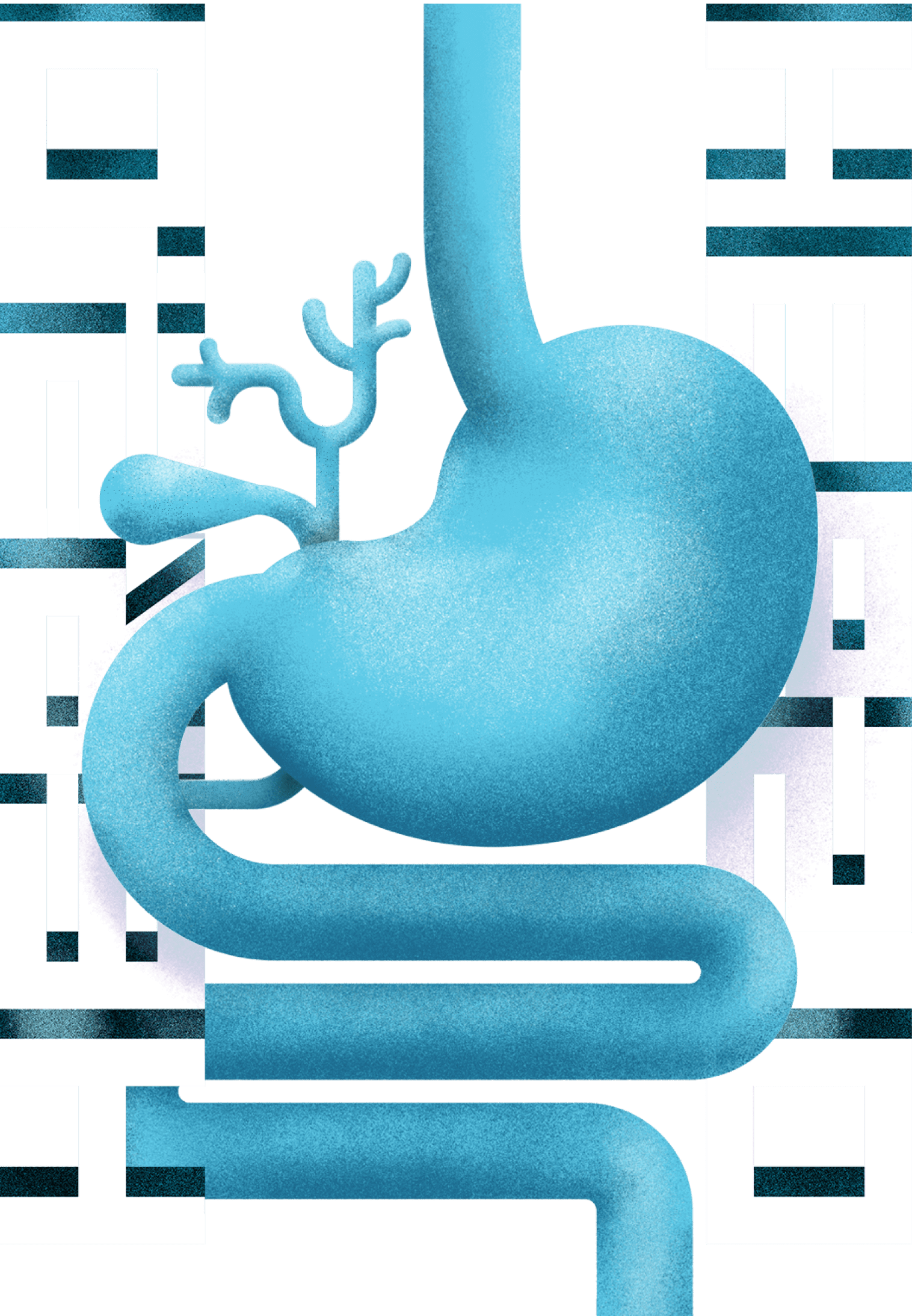 Artistic rendition of blue gastrointestinal tract between HER2.0 columns