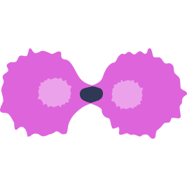 Cell proliferation icon