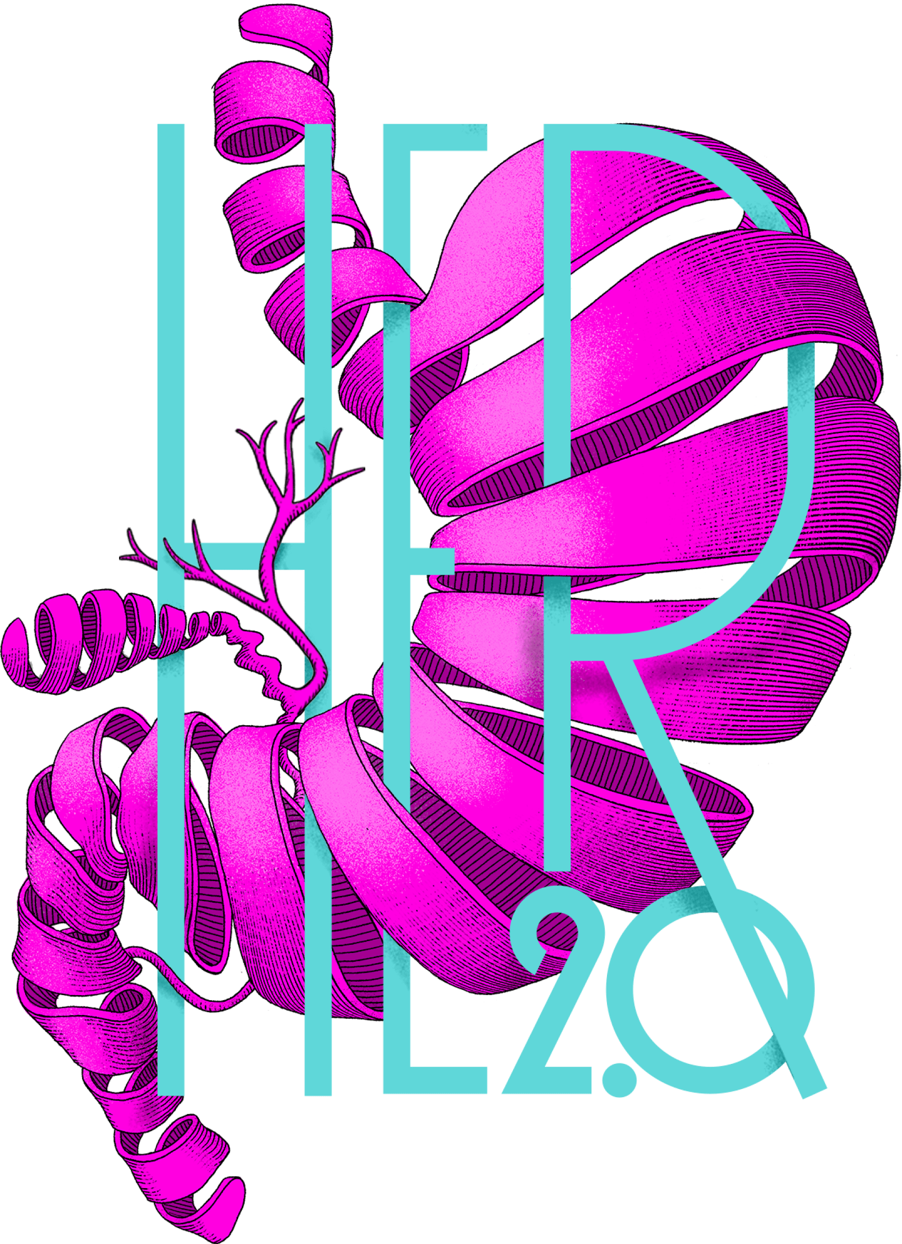 Artistic gastrointestinal tract coiled around HER2.0
