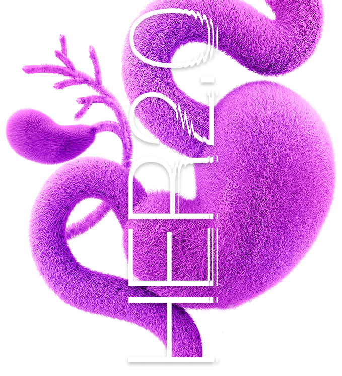 Furry rendition of gastrointestinal tract with artistic HER2.0 in front of it