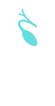 Biliary tract icon