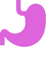 Stomach icon