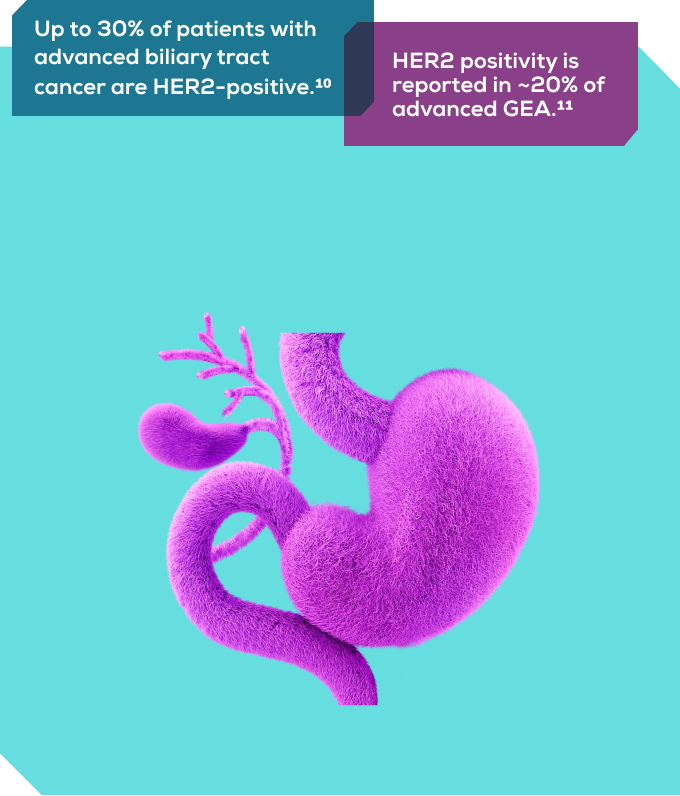 Furry gastrointestinal tract